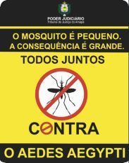 mosquito